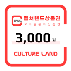 컬쳐랜드 3000원